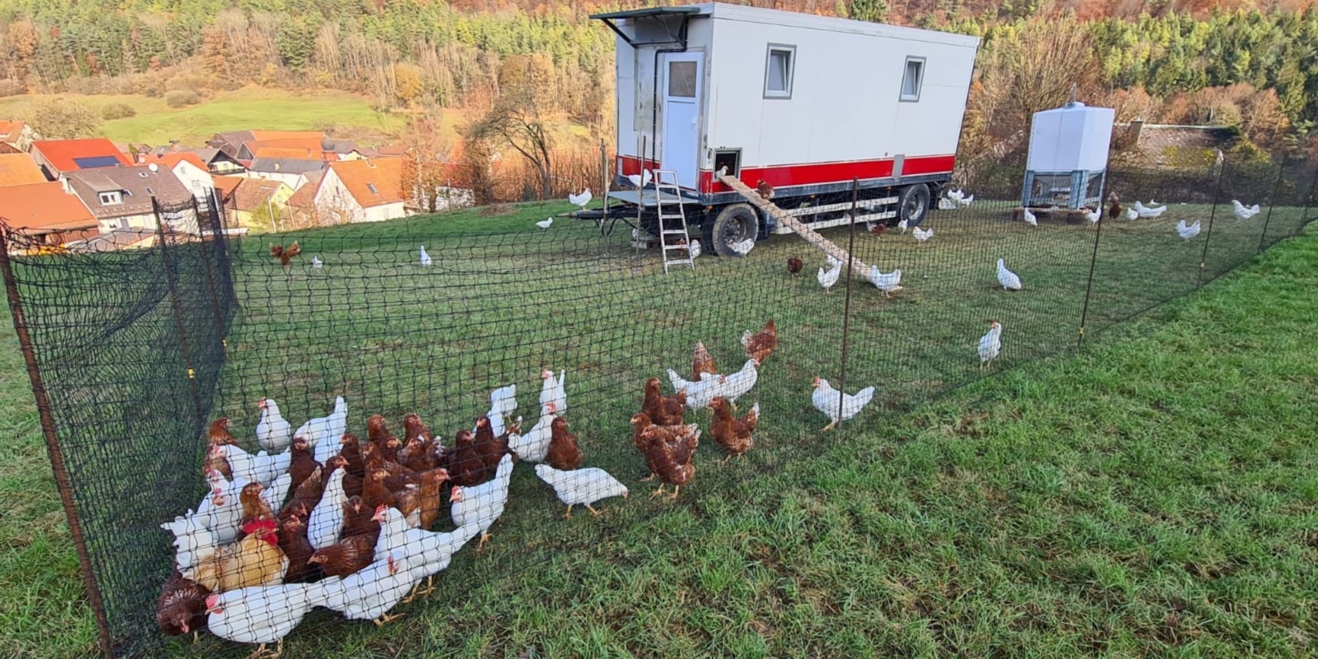 Freilaufende Hühner vor dem Hühnermobil von Tinas Landlädla in Kaspauer.