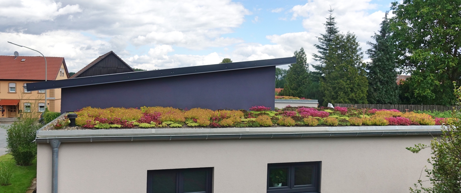 Gründach in Trieb bei Lichtenfels: Statt grauer Kies gibt eine farbenfrohe Pflanzenpracht den Ton auf dem Dach des Einfamilienhauses der Familie Bornschlegel in Trieb an.