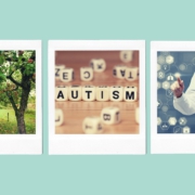 Projekt Dein Herzbaum Lichtenfels, Hilfe für Menschen mit Autismus bei Regens Wagner, neuer Studiengang Innovative Gesundheitsversorgung in Kronach